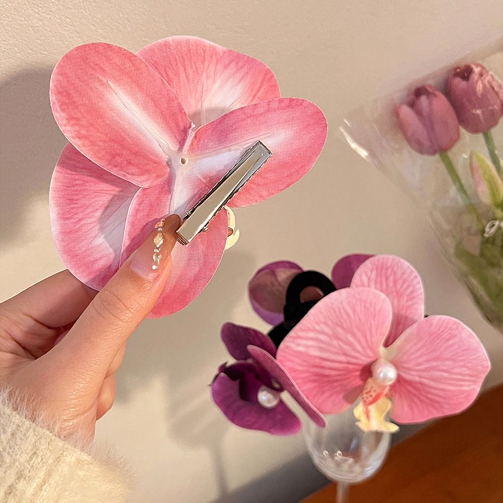 1Pcs Phalaenopsis Pearl Hair C - đánh giá và giá Orchid Phalaenopsis